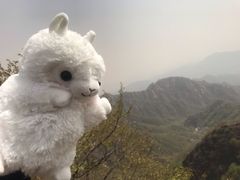-大岭沟猕猴桃谷风景区