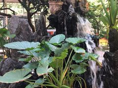 -荔城生鲜盛宴(番禺旗舰店)