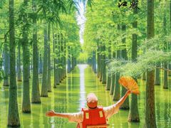 -泗洪洪泽湖湿地景区