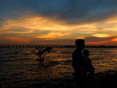 -宝安西湾红树林湿地公园