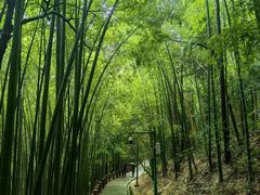 -敬亭山风景名胜区
