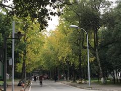 -四川大学(望江校区)