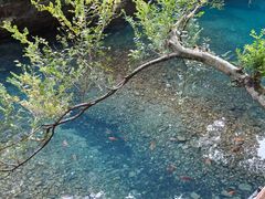 -雁荡山风景名胜区-小龙湫