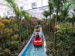 -南宫五洲植物乐园