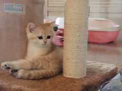 -Me Coffee下午茶艺术空间