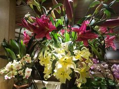 -春暖花开(西溪店)