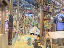 -卡通尼·Safari非洲探索乐园·生日会(金桥国际商业广场店)