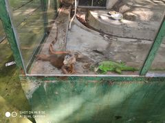 -广东茂名森林公园