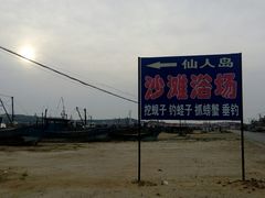 -仙人岛