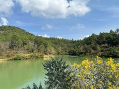 -广州白江湖森林公园