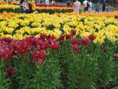 -长春公园(普阳街道)