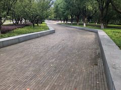 -大叔家福鼎小吃(十全街店)