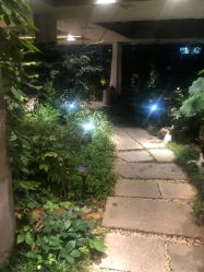 -罗亚帝·NASHOW纳秀形象设计