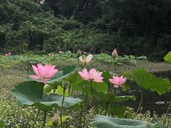 -四川大学(江安校区)