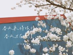 -嘉定紫藤园