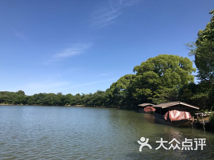 大泽池图片 - 第4张