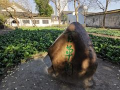 -绍兴鲁迅故里·沈园景区