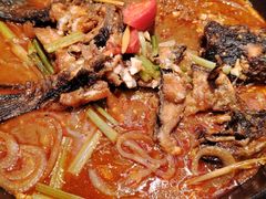 -老板恋上鱼(高新万达店)