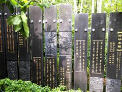 -天目湖山水园
