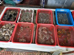 -阿古海鲜大排档(青澳湾自然之门六年好店)