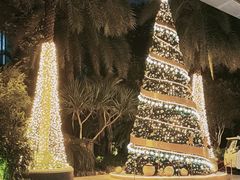 -广州富力丽思卡尔顿酒店