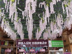 -米果果小镇