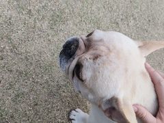 -石梅湾