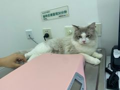 -北京恒爱动物医院(清景园分院)