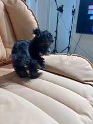 -一个差评成就的纹眉店