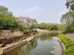 -大兴滨河森林公园