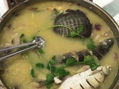 -溱湖八鲜菜馆