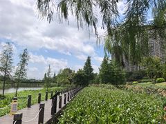 -那考河湿地公园