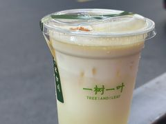 -一树一叶·福建茶档(石鼓路店)