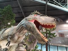 -湖南省地质博物馆
