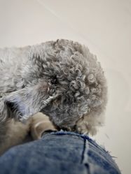 -Pink You美甲洗眉纹绣定制中心