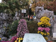 -菊花台公园