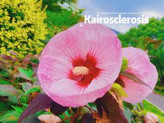 -上海山野camping·户外天幕烧烤·团建拓展营地