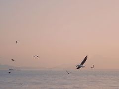 -深圳湾公园(南山区)