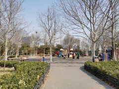 游乐设施-大兴滨河森林公园