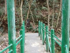 -燕子河大峡谷天坑仙境