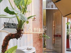 -蘑界·野生菌火锅(深业上城店)