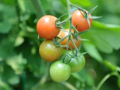 -营地公园·团建拓展·亲子户外(奉贤店)