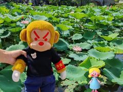 -惠州西湖丰渚园
