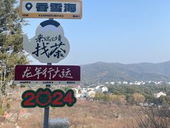 -香雪海