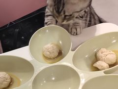 -三花喵·撸猫购宠·宠物生活馆(虹桥南丰城店)