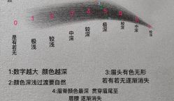 -西施无菌半永久纹绣眉眼影唇轻增发纹发际线
