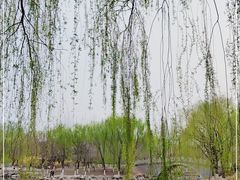 -大兴滨河森林公园