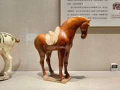 -深圳博物馆