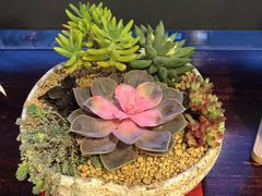 -肆兮眼镜·蔡司·徕卡战略合作店(大坪店)
