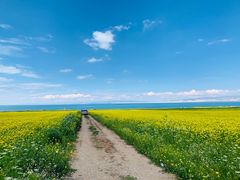 -青海湖国家重点风景名胜区